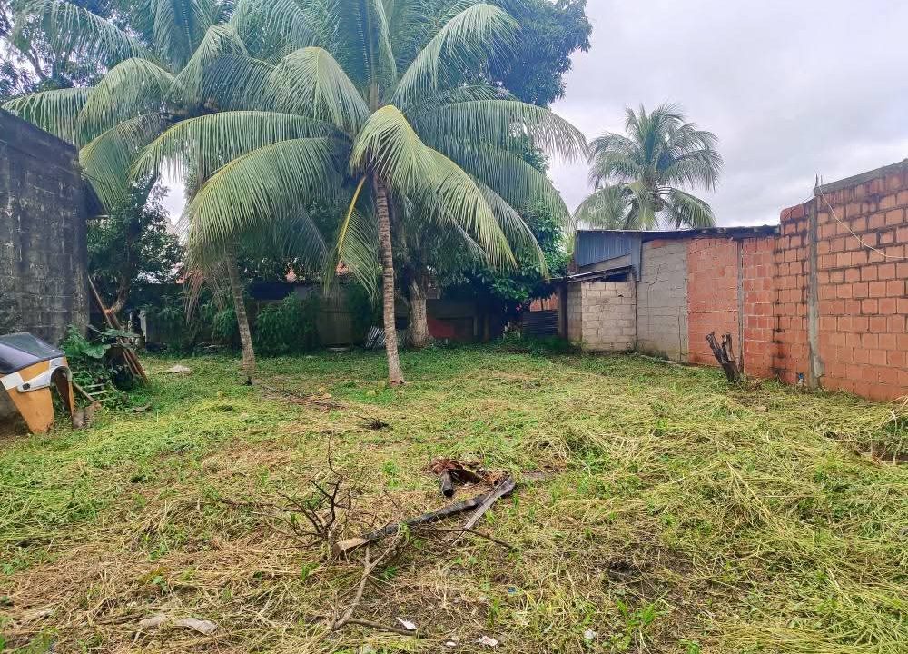 512672461_23889806530686427_5404291599759100724_n