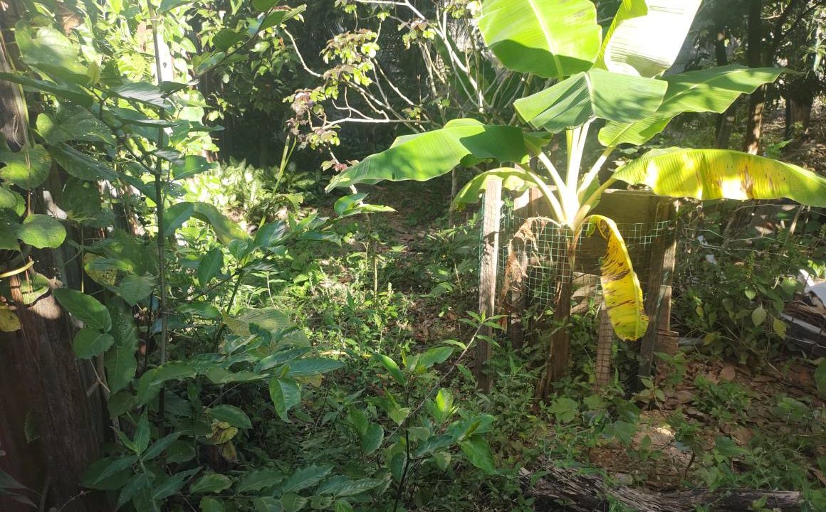 526344749_2504474683284526_4872939247931452116_n