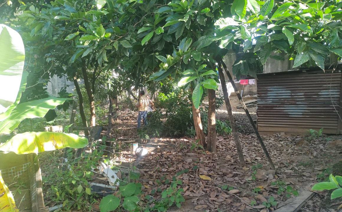 526743567_2504474633284531_5342819307362078884_n