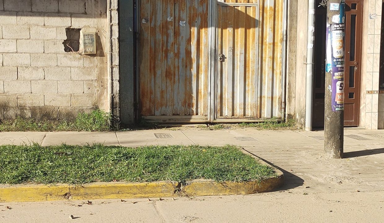 526918220_2504474786617849_1241509085258164470_n