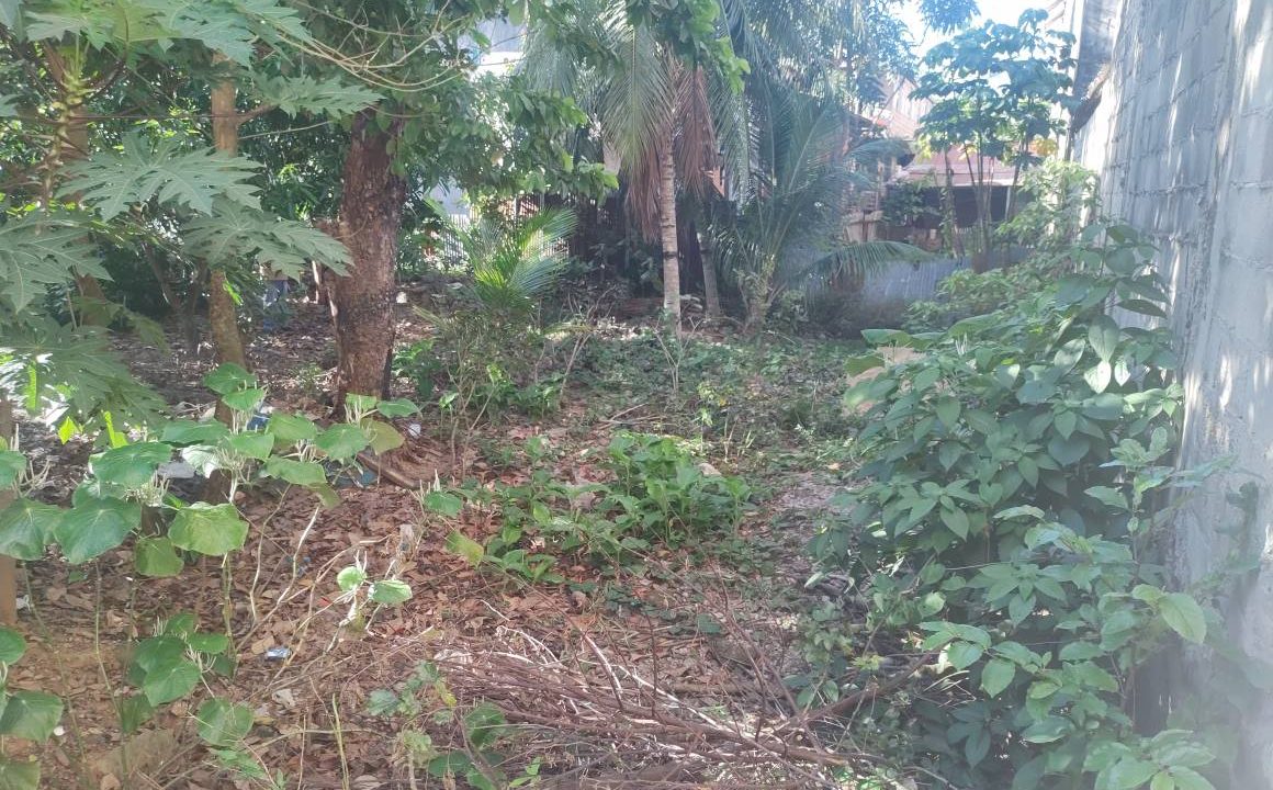 526999863_2504474453284549_4578675933774310010_n