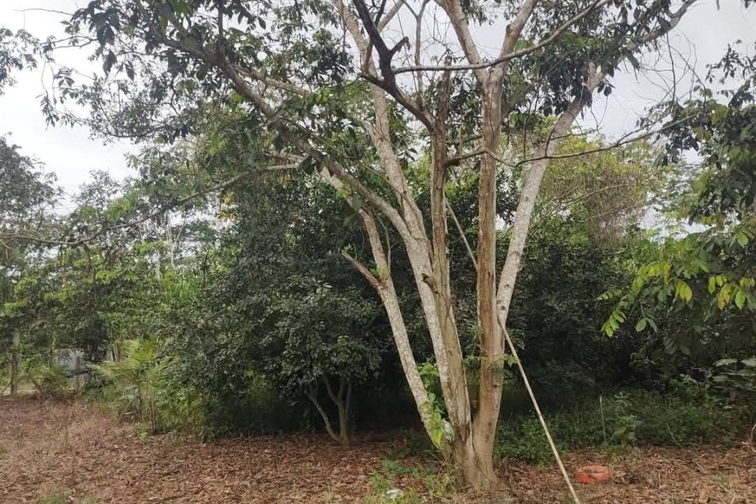 560071972_2591717254560268_6006895139155202333_n