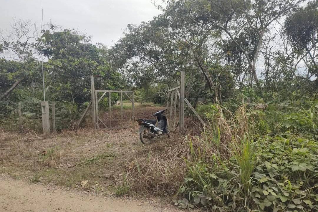 574014101_2591716947893632_288040504538382971_n