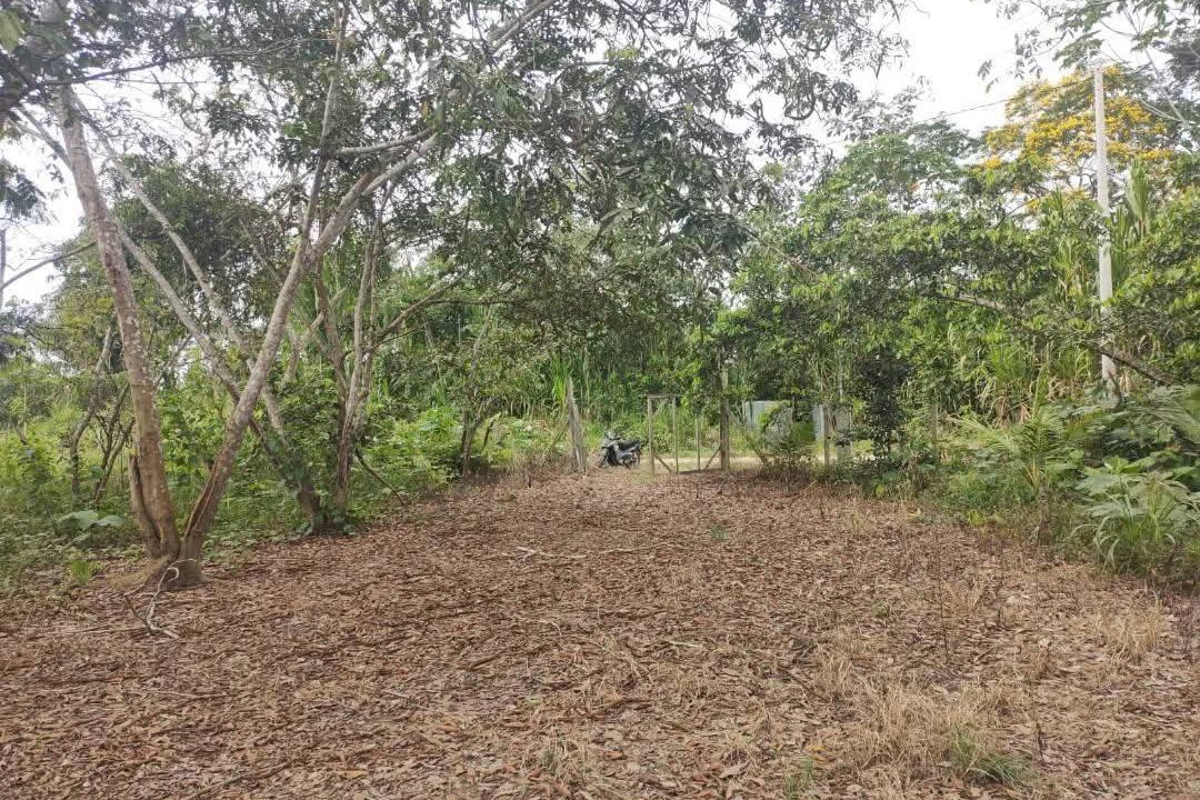 574544613_2591717121226948_3463515784710906901_n