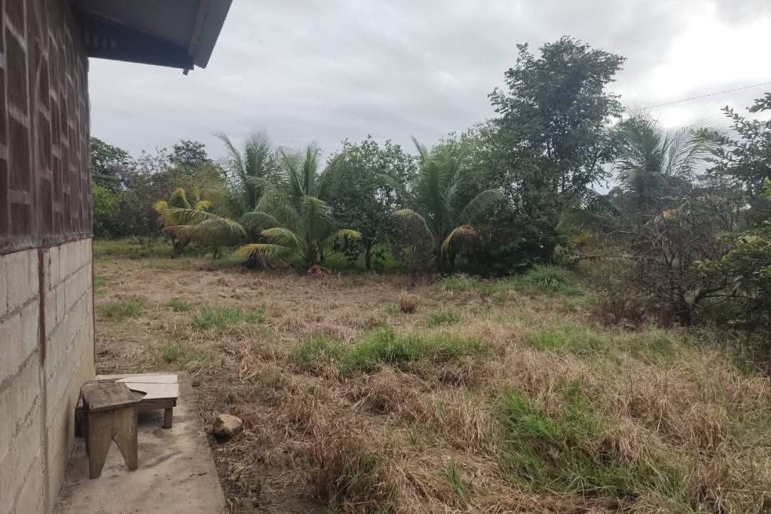 574559727_2591717327893594_8447069489880199377_n