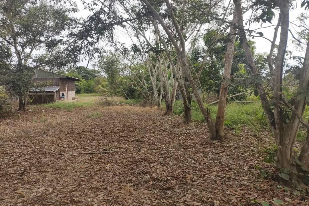 575108996_2591717077893619_4613487822823326795_n