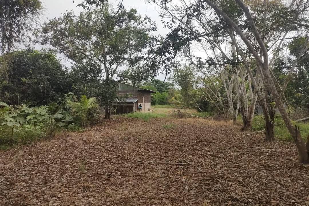 577525254_2591717031226957_906870141320064541_n